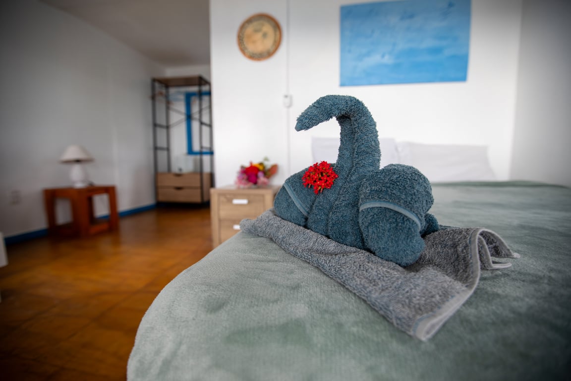 'Eua island and accommodation photo 5