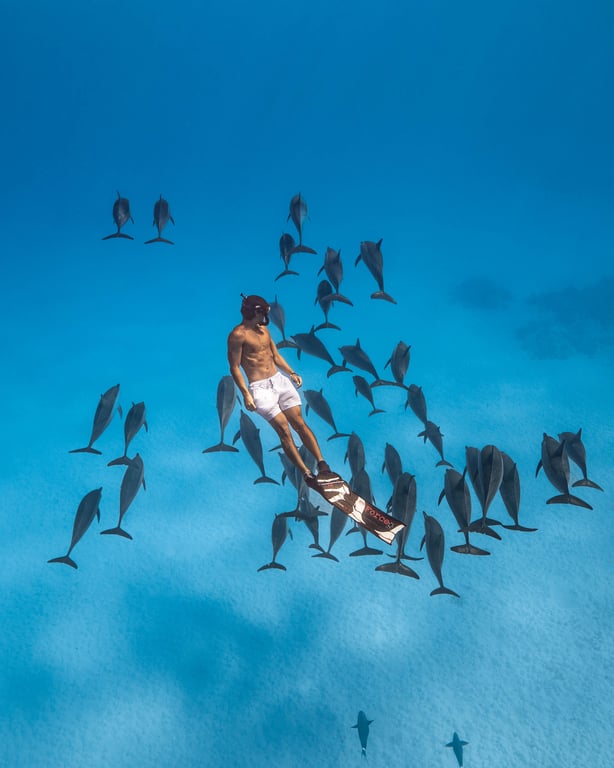 Freediving and dolphins at Sataya photo 2