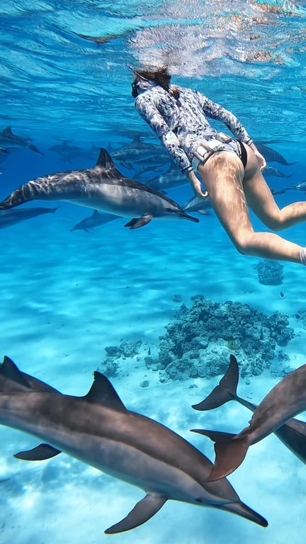 Freediving and dolphins at Sataya photo 9