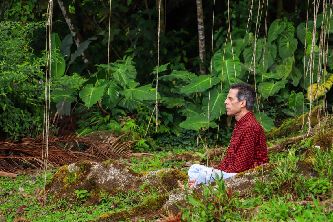 Living and Learning at the Sat Yoga Ashram