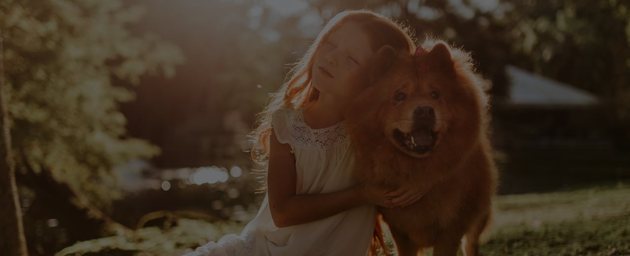 pet insurance background image