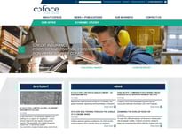 Coface Credit Life Insurance