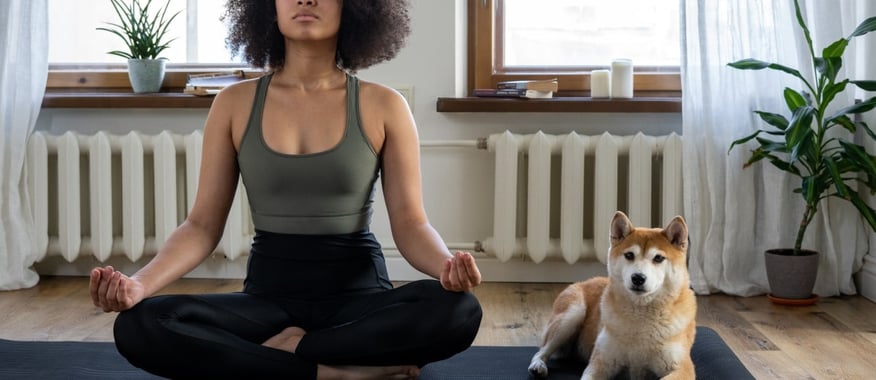 Furry Finances Comprehensive Guide to Pet Insurance South Africa