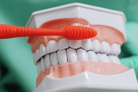 Dental insurance - You can make it work for you