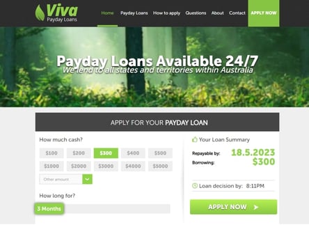 Viva Payday Loans homepage