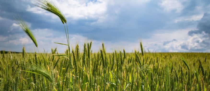 Agriculture finance in Australia