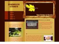 Brandmullers Criminal Injury Claim