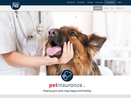 Absolute Pets homepage