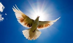 8 Things that will Help you Get Out of Debt