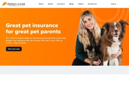 Dotsure homepage