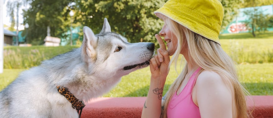 Your guide to the cost of pet insurance