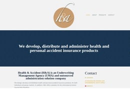 Health and Accident Group 