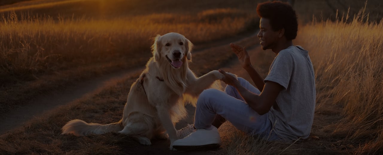 sa's best-rated insurance background image