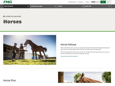 FMG homepage