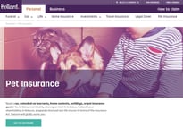 Hollard Pet insurance