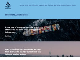 Apex Insurance Business insurance