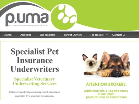 Puma Insurance homepage