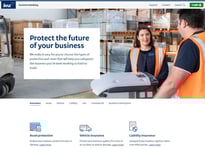 BNZ Business insurance