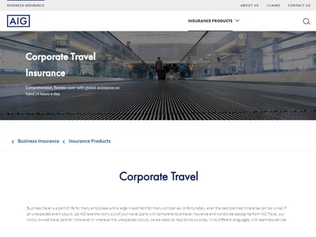 AIG homepage