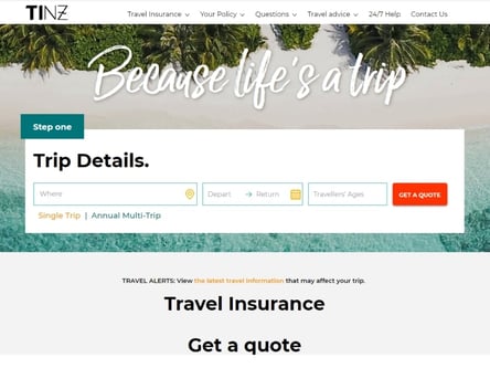 TINZ homepage