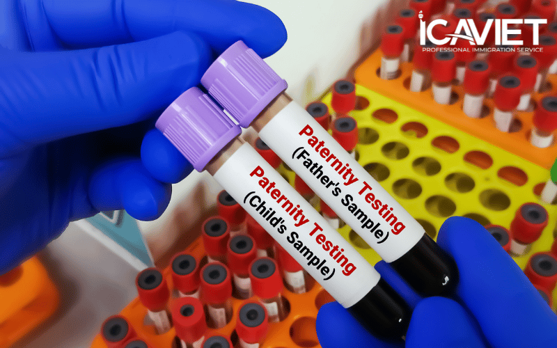 Xét nghiệm DNA được do các phòng thí nghiệm được Hiệp hội Ngân hàng Máu Hoa Kỳ (AABB) chỉ định