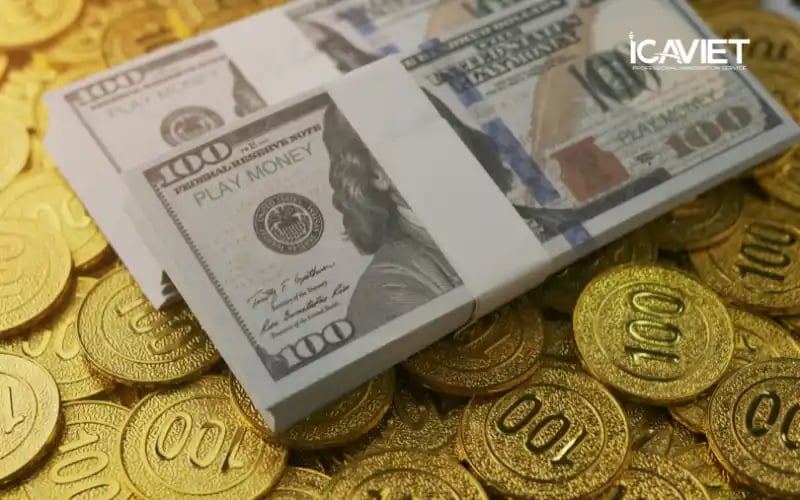 Bảo trợ tài chính 