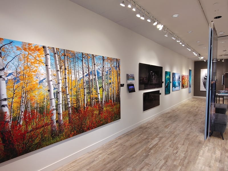 Jeff Walker Gallery