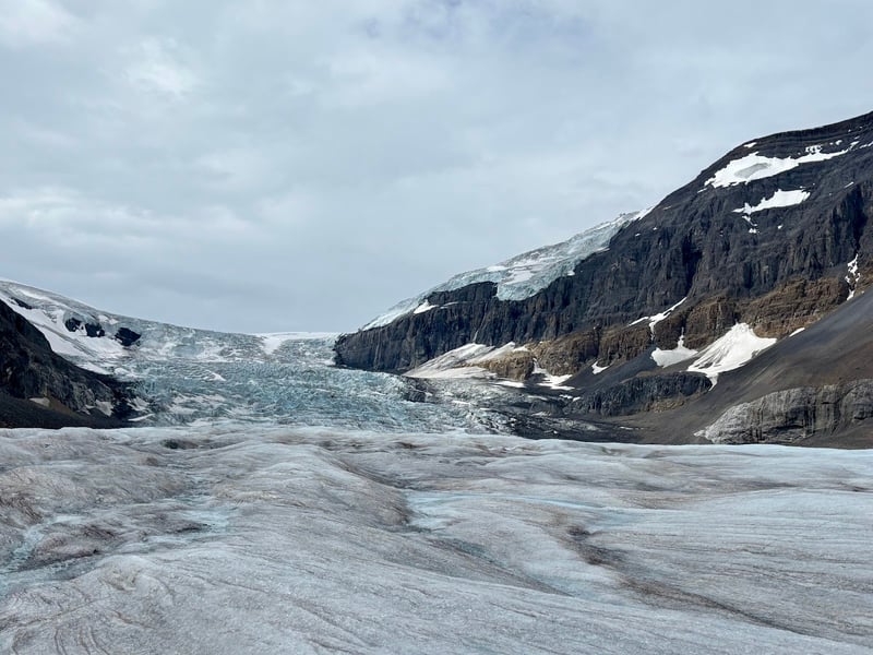 Columbia Icefield Ice Odyssey
