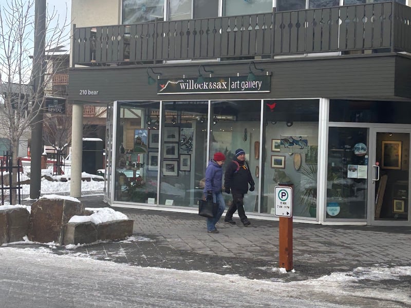 Willock & Sax Gallery