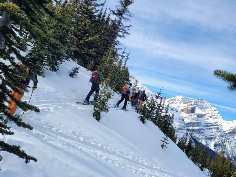 Alpine Air Adventures