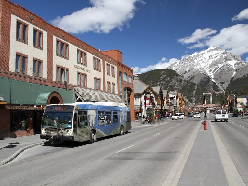 Roam Public Transit