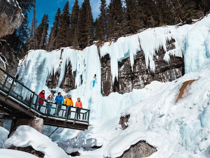 Discover Banff Tours