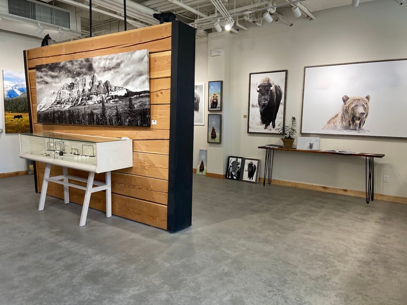 Brandon T. Brown Wilderness Gallery