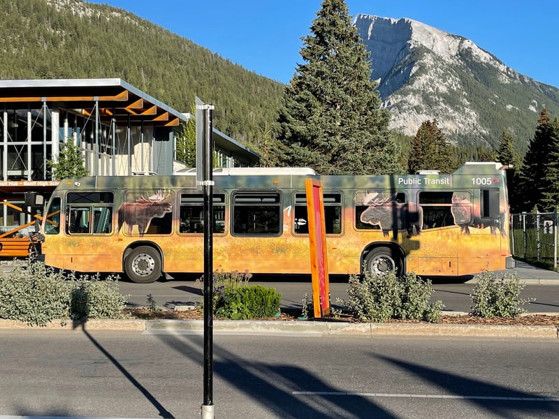 Roam Public Transit