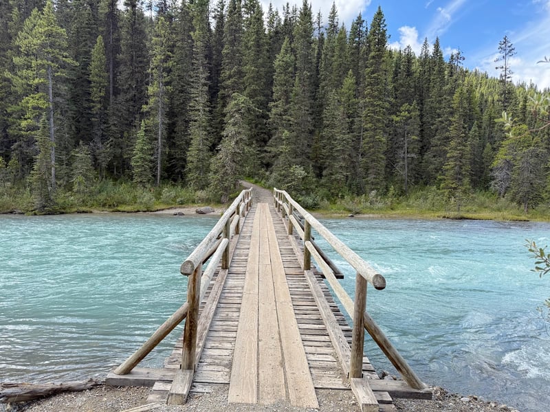 Waterfowl Lakes Campground