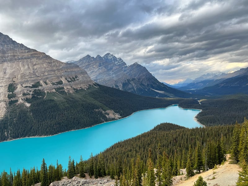 Discover Banff Tours