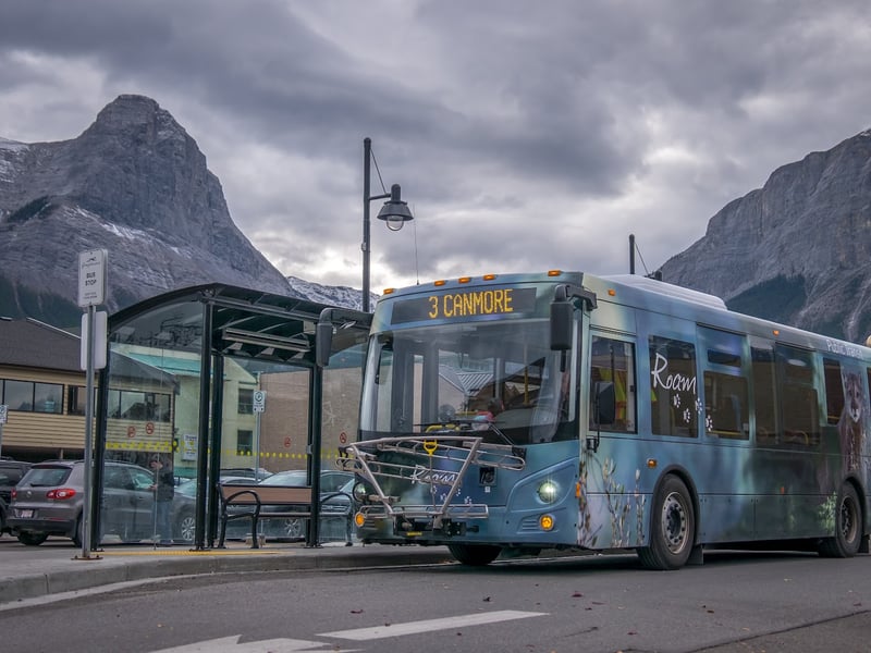 Roam Public Transit