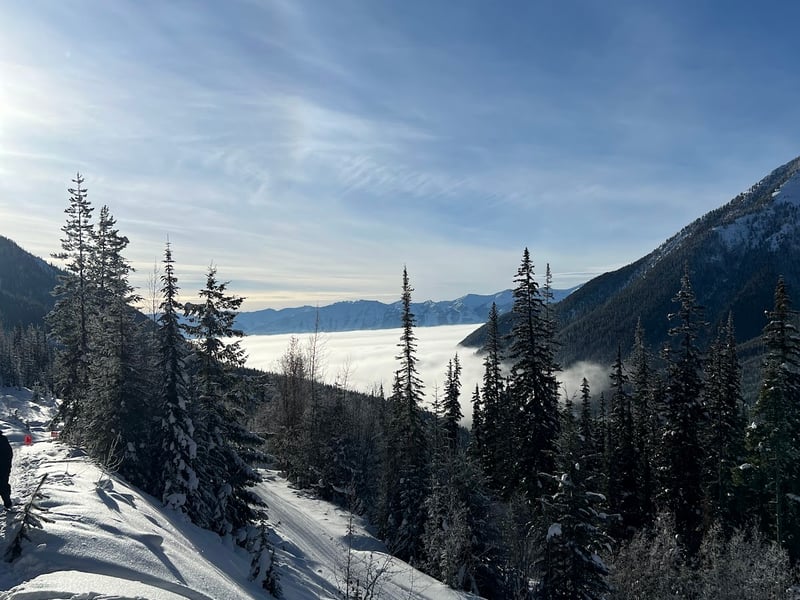White N' Wild Snowmobile Tours