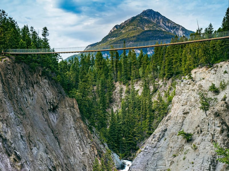 Golden Skybridge