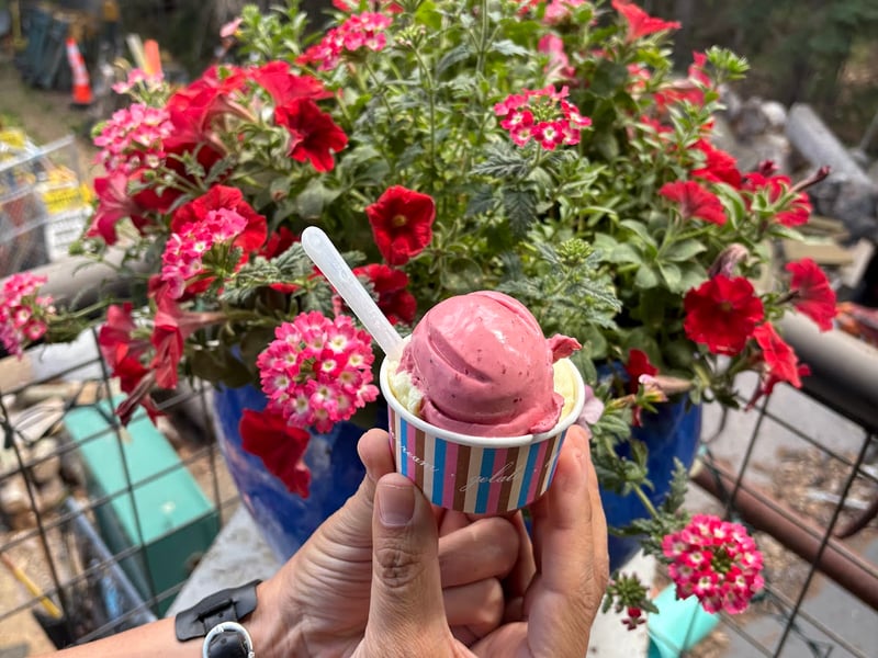 Cravings Gelato