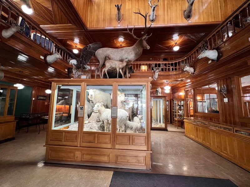 Banff Park Museum National Historic Site