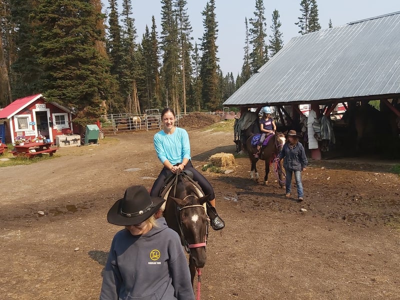 Timberline Tours Ltd.