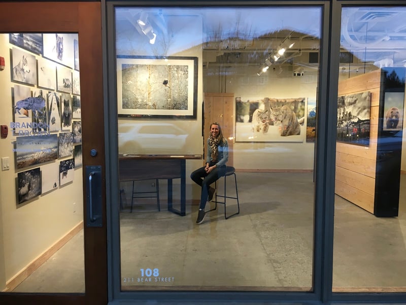 Brandon T. Brown Wilderness Gallery