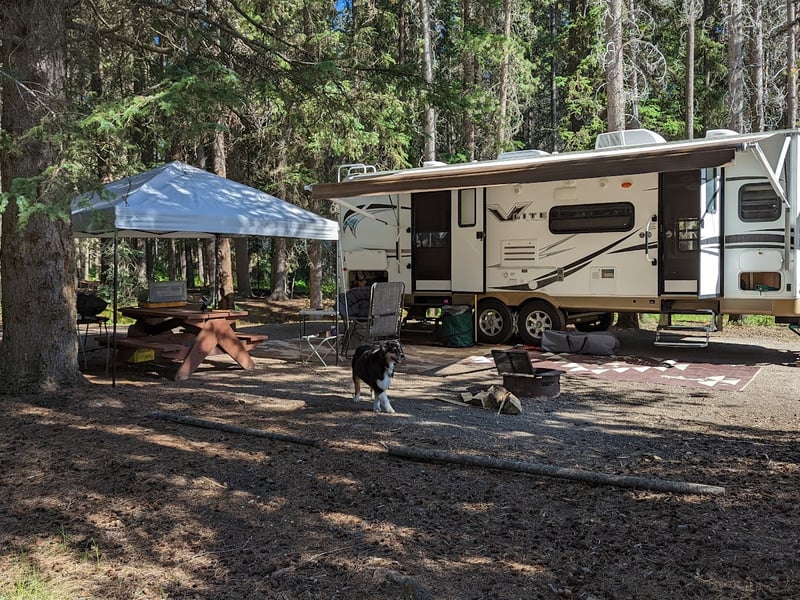 Johnston Canyon Campground