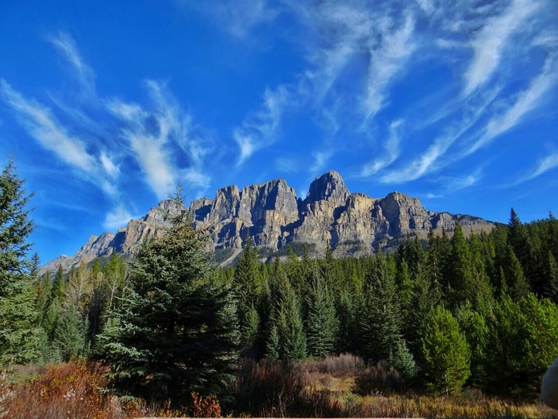 Castle Mountain Campground