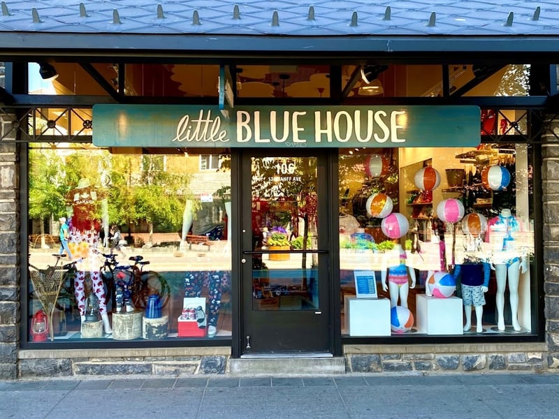 Little Blue House