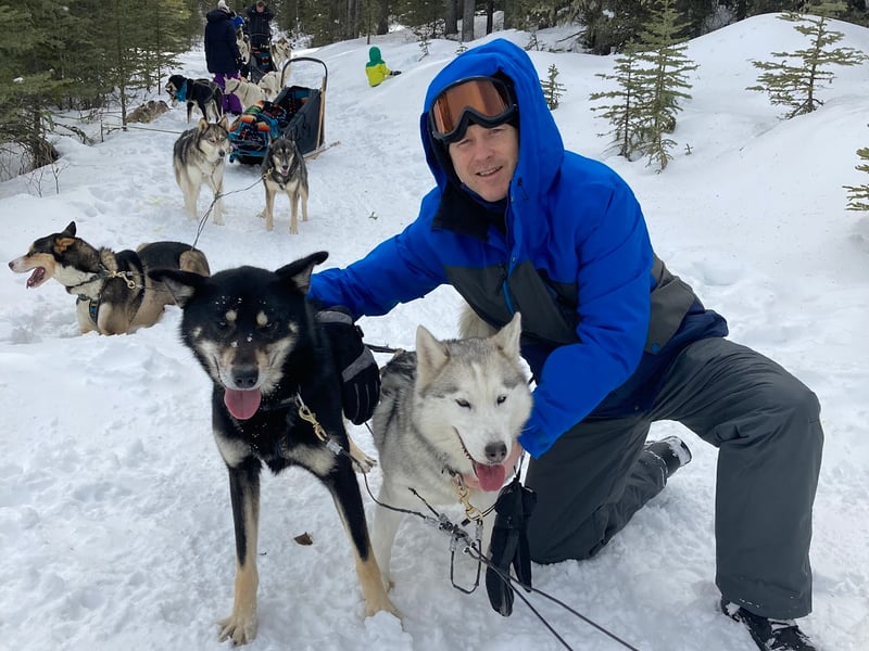 Snowy Owl Sled Dog Tours