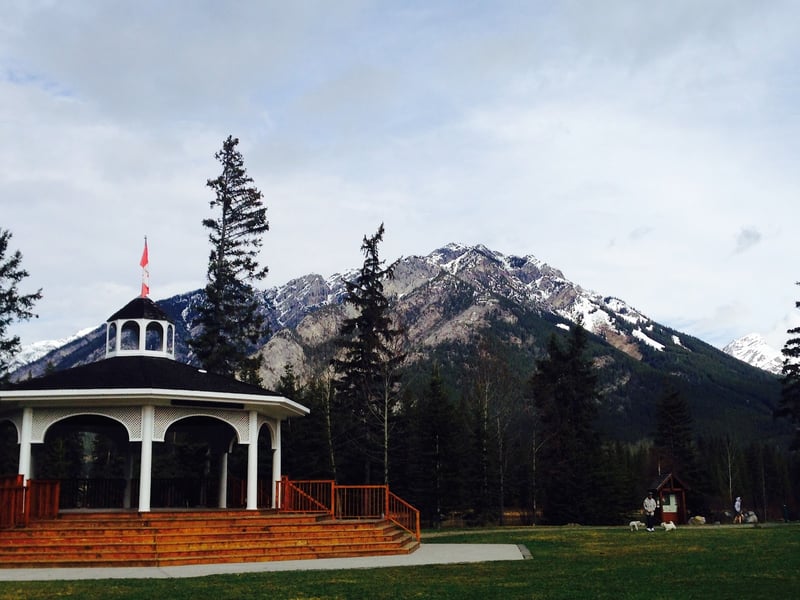 Banff Farmers Market