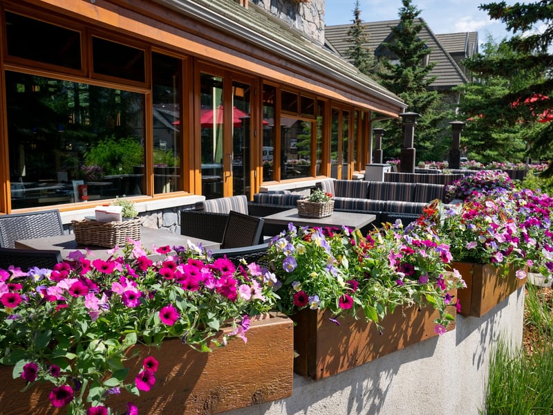 Fox Hotel & Suites