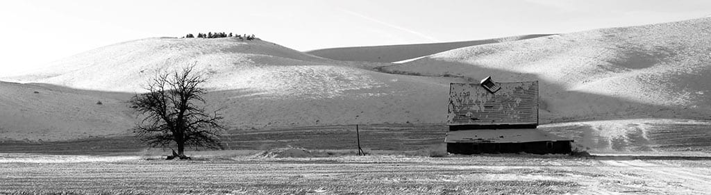 Prinz & Brozik PLLC website image